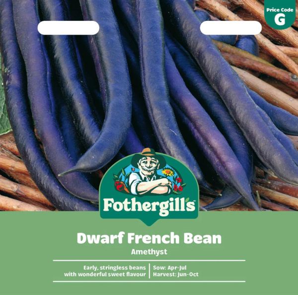 Buskböna, brytböna